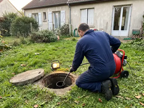 Furet électrique dans le regard (illustration)