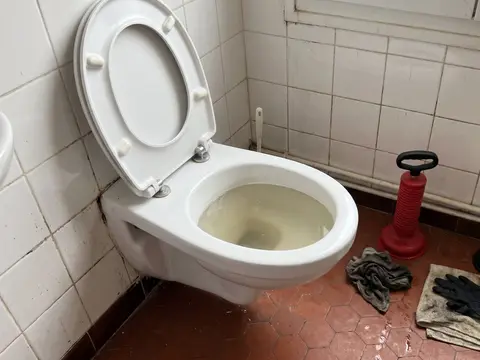 WC bouché, pompe à déboucher prête (illustration)